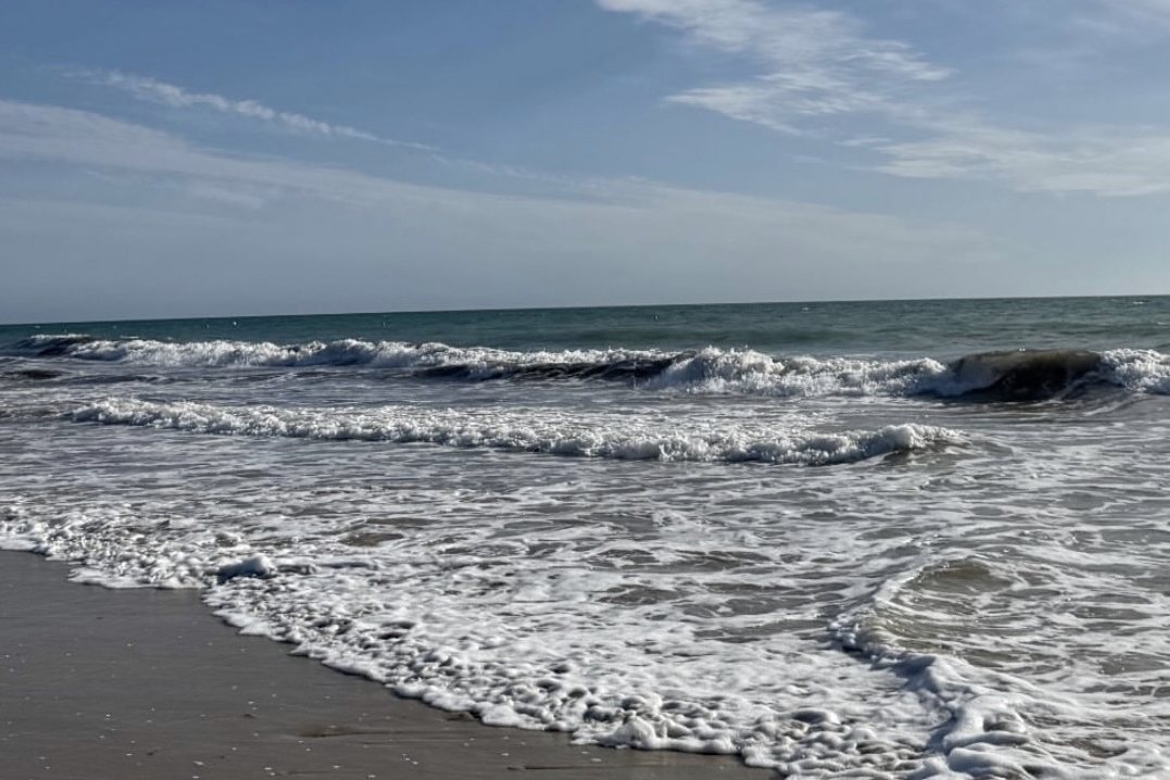 Olas rompiendo en la orilla