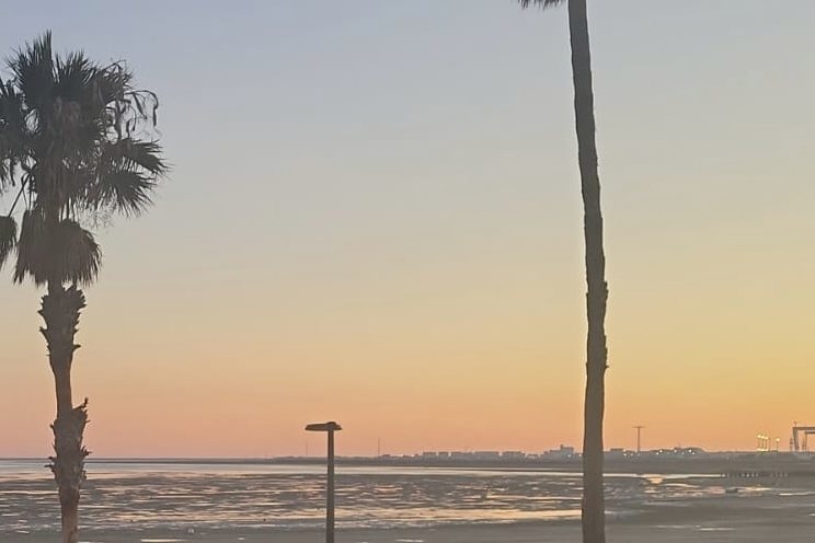 Palmeras recortadas contra el atardecer en la playa