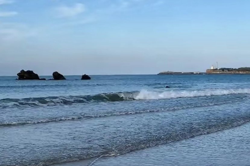 Rocas en la orilla con el faro al fondo