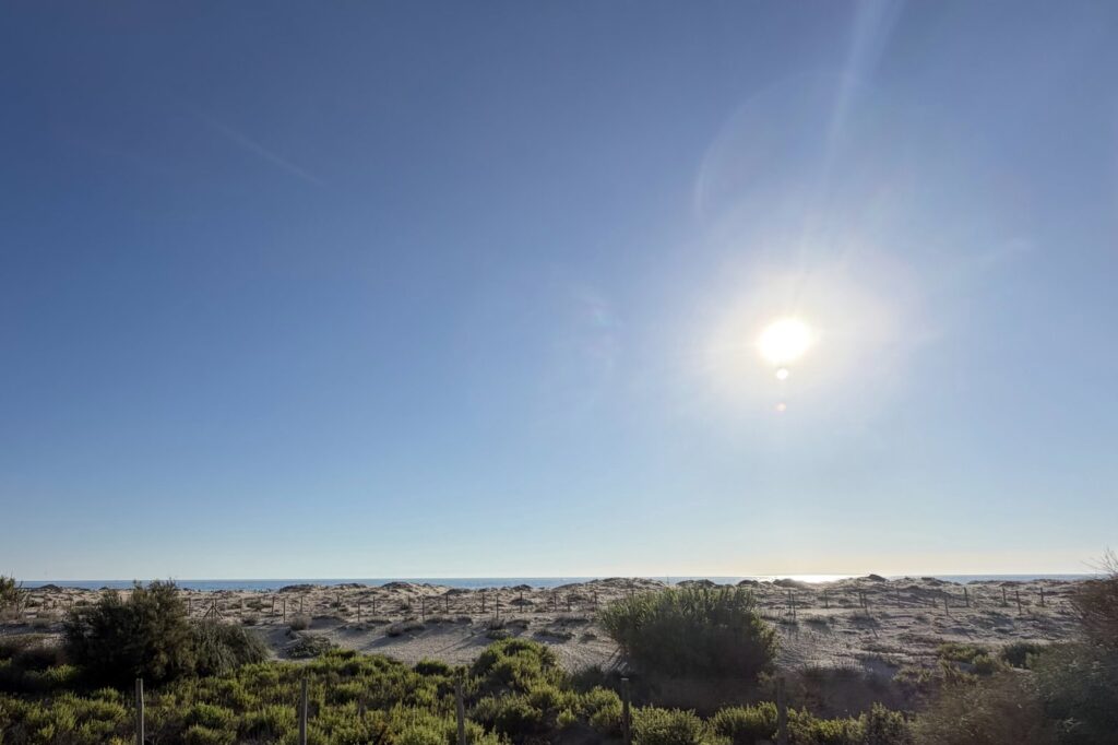 Sol sobre las dunas y la vegetación de la costa